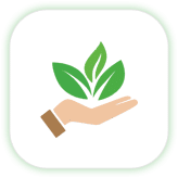 Environmental Sustainability Environmental Sustainability